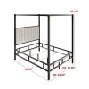 King size Black Metal Canopy Bed with Upholstered Button-Tufted Headboard