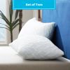 Set of 2 - Shredded Memory Foam Bed Pillows with 2 Pillowcases - King size
